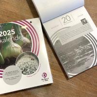 Scheurkalender